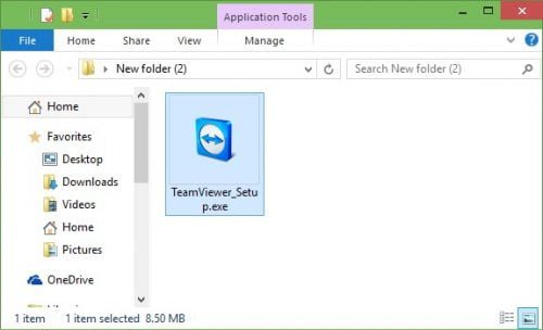 teamviewer without install