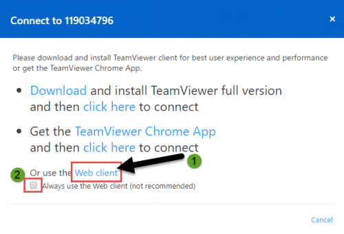 download installing teamviewer